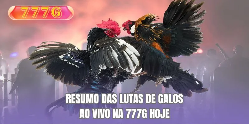 Visão geral da bringa de galos ao vivo de hoje 777G
